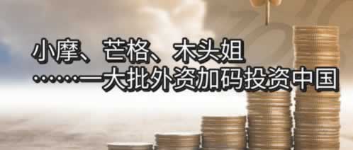 【紧急提醒】账户被黑,提款受阻?揭秘常见提款难题及应对策略! 【紧急提醒】账户被黑,提款受阻?揭秘常见提款难题及应对策略!
