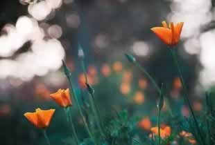 【紧急提醒】平台提款失败？别慌！教你一招轻松解决！