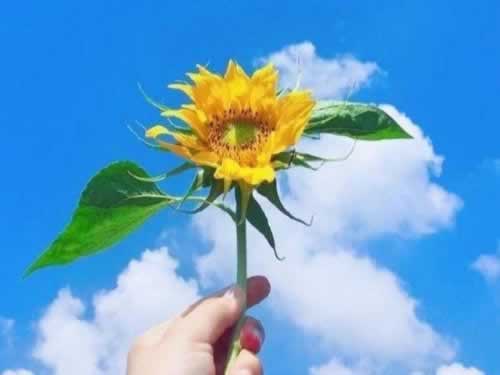 【揭秘】风控部门审核注单延迟:背后的原因与应对策略 【揭秘】风控部门审核注单延迟:背后的原因与应对策略