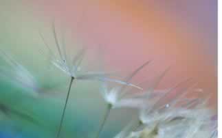 遇到黑网被黑客服说还有打10倍流水才给出款,揭秘真实内幕! 遇到黑网被黑客服说还有打10倍流水才给出款,揭秘真实内幕!