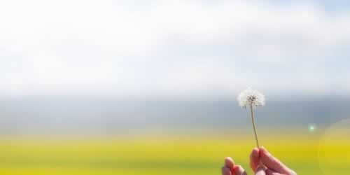 【紧急！】提现的钱一直不到账？揭秘银行提现流程，教你快速解决！