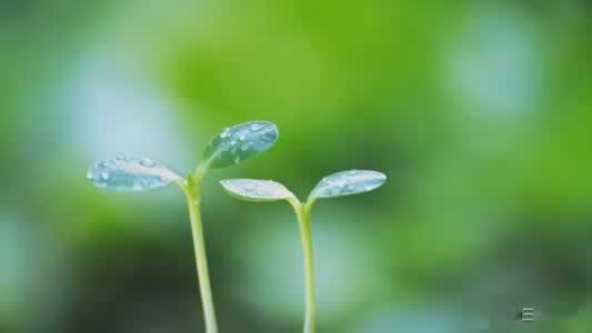 【紧急提醒】网上平台被黑？系统维护异常？提款审核不给过？揭秘背后的真相！