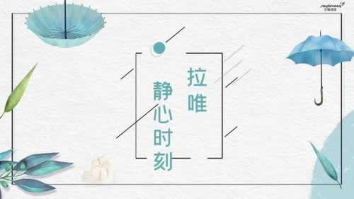 账号审核不给提现？别慌，这里有实用方法帮你解决！