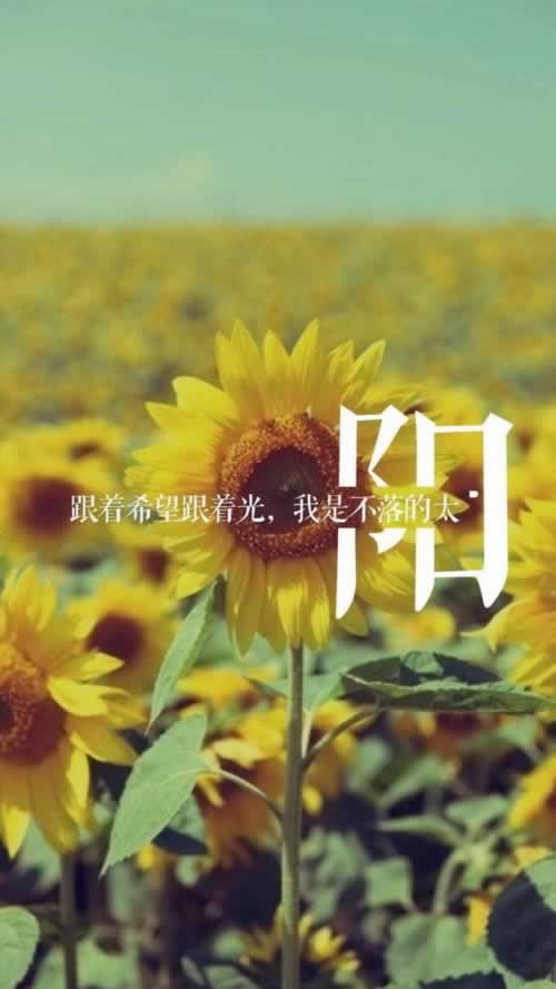 【紧急攻略】被黑了取不出钱怎么办?轻松搞懂这5招,让你的资金安全无忧! 【紧急攻略】被黑了取不出钱怎么办?轻松搞懂这5招,让你的资金安全无忧!