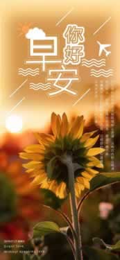 【紧急预警】你的网站为何会被黑?9万资金提不出来,揭秘背后真相! 【紧急预警】你的网站为何会被黑?9万资金提不出来,揭秘背后真相!