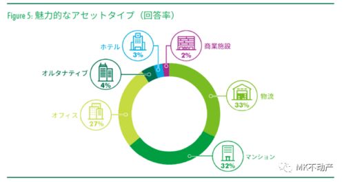 一倍流水提现，揭秘背后的真相与金额揭秘！