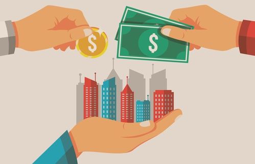 平台财务:如何确保其稳健维护与持续发展 平台财务:如何确保其稳健维护与持续发展