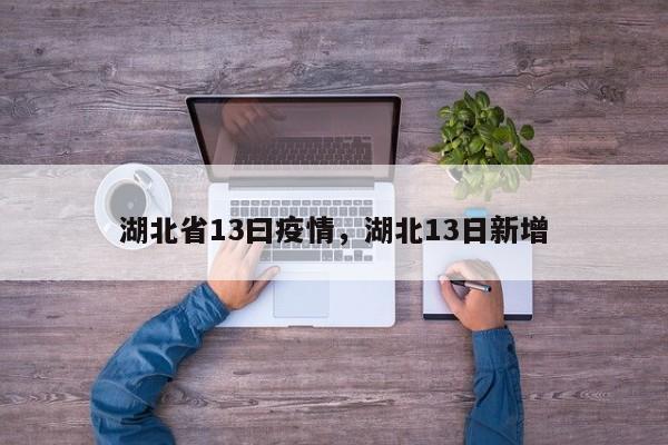 湖北省13曰疫情,湖北13日新增