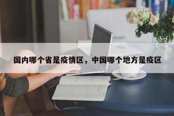 国内哪个省是疫情区,中国哪个地方是疫区