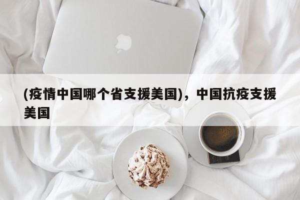 (疫情中国哪个省支援美国),中国抗疫支援美国
