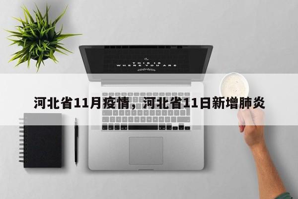 河北省11月疫情,河北省11日新增肺炎