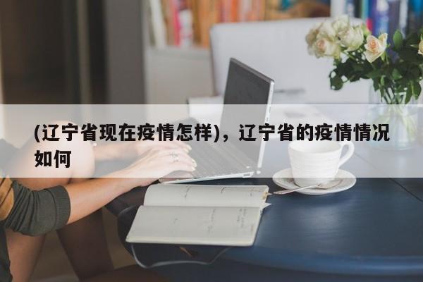 (辽宁省现在疫情怎样),辽宁省的疫情情况如何