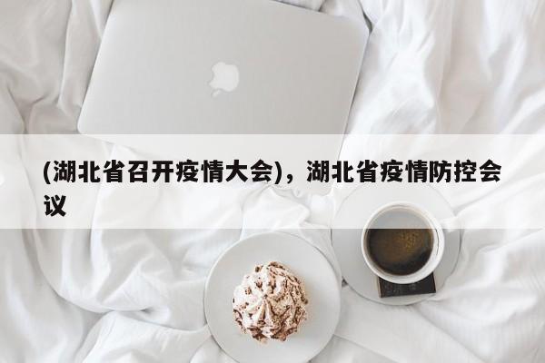 (湖北省召开疫情大会),湖北省疫情防控会议